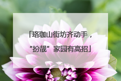 珞珈山街坊齐动手，“扮靓”家园有高招