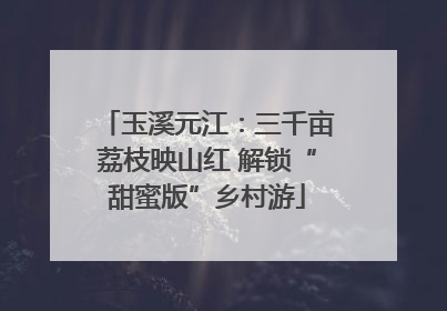 玉溪元江：三千亩荔枝映山红 解锁“甜蜜版”乡村游