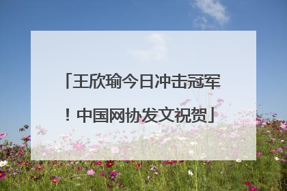 王欣瑜今日冲击冠军！中国网协发文祝贺