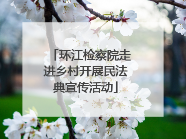 环江检察院走进乡村开展民法典宣传活动