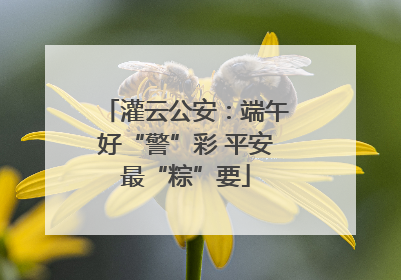 灌云公安：端午好“警”彩 平安最“粽”要