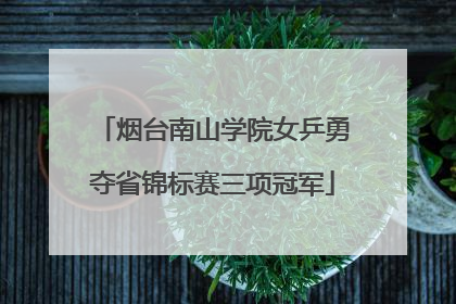 烟台南山学院女乒勇夺省锦标赛三项冠军