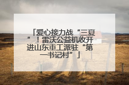 爱心接力战“三夏”！雷沃公益机收开进山东重工派驻“第一书记村”