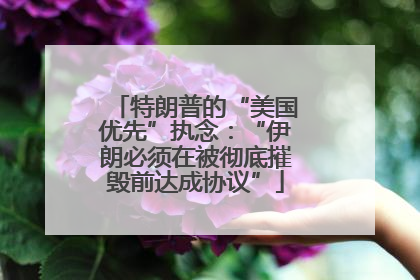 特朗普的“美国优先”执念：“伊朗必须在被彻底摧毁前达成协议”