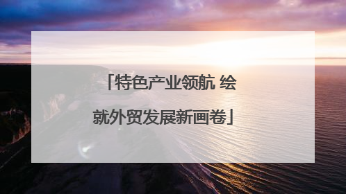 特色产业领航 绘就外贸发展新画卷