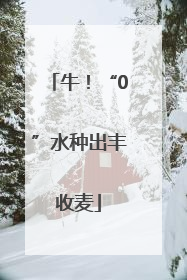 牛！“0”水种出丰收麦
