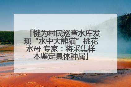 犍为村民巡查水库发现“水中大熊猫”桃花水母 专家：将采集样本鉴定具体种属