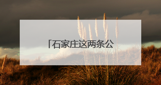 石家庄这两条公交专线带你在家门口游山玩水