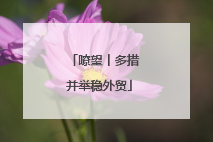 瞭望丨多措并举稳外贸