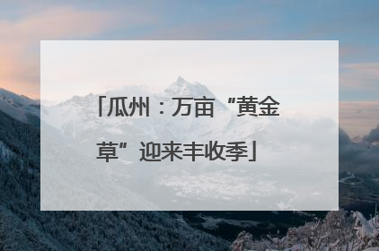瓜州：万亩“黄金草”迎来丰收季