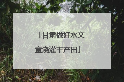 甘肃做好水文章浇灌丰产田