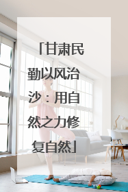 甘肃民勤以风治沙：用自然之力修复自然