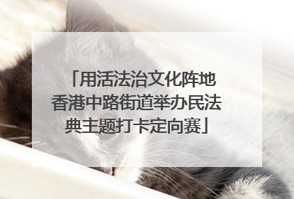 用活法治文化阵地 香港中路街道举办民法典主题打卡定向赛