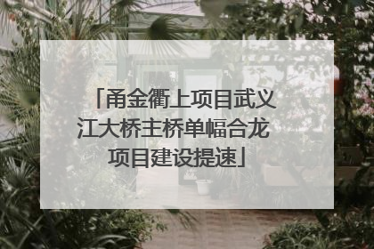 甬金衢上项目武义江大桥主桥单幅合龙 项目建设提速