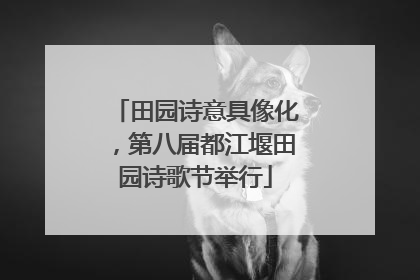 田园诗意具像化，第八届都江堰田园诗歌节举行