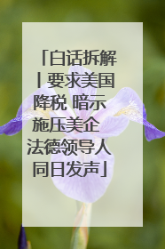 白话拆解丨要求美国降税 暗示施压美企 法德领导人同日发声