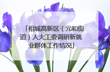 相城高新区（元和街道）人大工委调研新就业群体工作情况