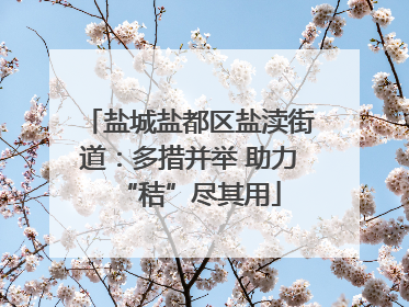盐城盐都区盐渎街道：多措并举 助力“秸”尽其用
