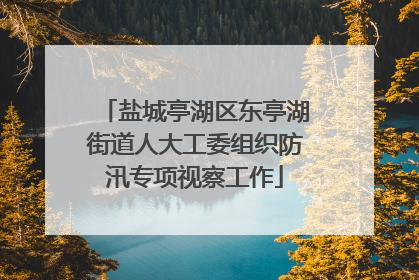 盐城亭湖区东亭湖街道人大工委组织防汛专项视察工作