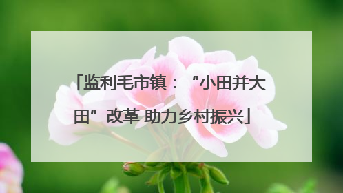 监利毛市镇：“小田并大田”改革 助力乡村振兴