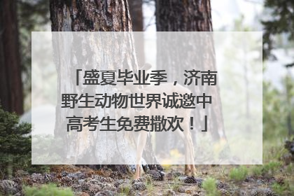 盛夏毕业季，济南野生动物世界诚邀中高考生免费撒欢！