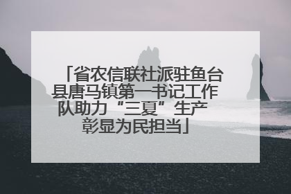 省农信联社派驻鱼台县唐马镇第一书记工作队助力“三夏”生产 彰显为民担当