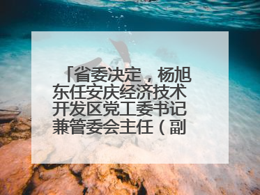 省委决定，杨旭东任安庆经济技术开发区党工委书记兼管委会主任（副厅级）