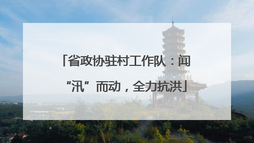 省政协驻村工作队：闻“汛”而动，全力抗洪