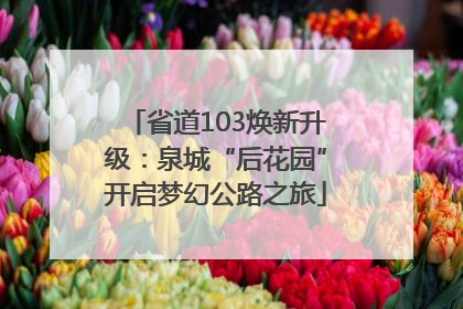 省道103焕新升级：泉城“后花园”开启梦幻公路之旅