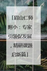 眉山仁师附小：专家引领促发展，精研课题启新篇