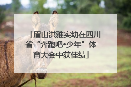 眉山洪雅实幼在四川省“奔跑吧•少年”体育大会中获佳绩