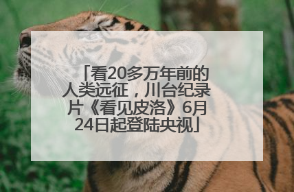 看20多万年前的人类远征，川台纪录片《看见皮洛》6月24日起登陆央视