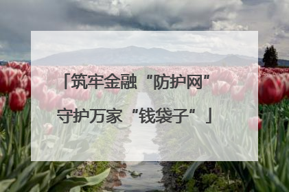 筑牢金融“防护网” 守护万家“钱袋子”