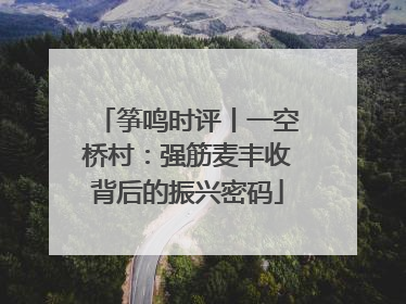 筝鸣时评丨一空桥村：强筋麦丰收背后的振兴密码