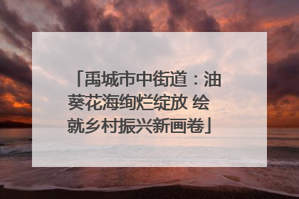 禹城市中街道：油葵花海绚烂绽放 绘就乡村振兴新画卷