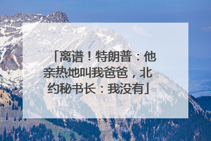 离谱！特朗普：他亲热地叫我爸爸，北约秘书长：我没有