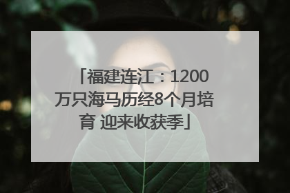 福建连江：1200万只海马历经8个月培育 迎来收获季