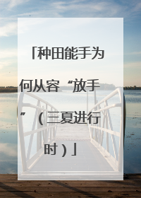种田能手为何从容“放手”（三夏进行时）