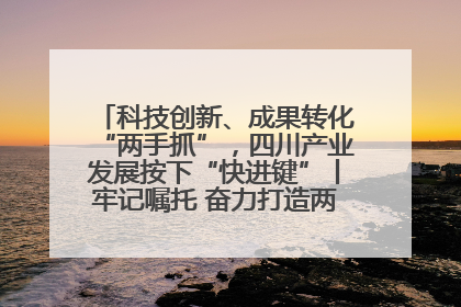 科技创新、成果转化“两手抓”，四川产业发展按下“快进键”丨牢记嘱托 奋力打造两高地两基地一屏障