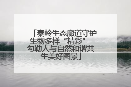 秦岭生态廊道守护生物多样“精彩” 勾勒人与自然和谐共生美好图景