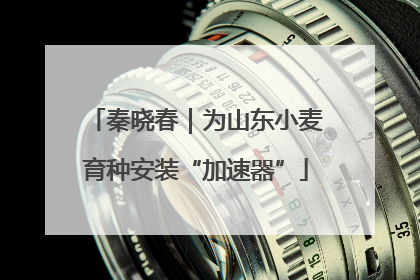 秦晓春｜为山东小麦育种安装“加速器”