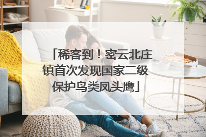 稀客到！密云北庄镇首次发现国家二级保护鸟类凤头鹰