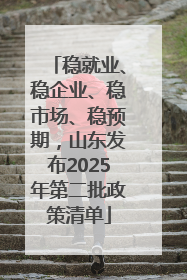 稳就业、稳企业、稳市场、稳预期，山东发布2025年第二批政策清单