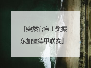 突然官宣！樊振东加盟德甲联赛
