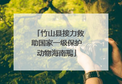 竹山县接力救助国家一级保护动物海南鳽