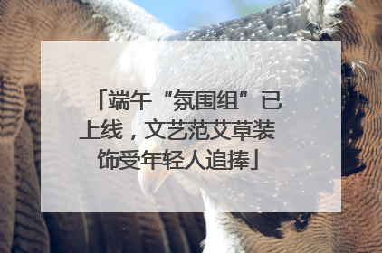 端午“氛围组”已上线，文艺范艾草装饰受年轻人追捧