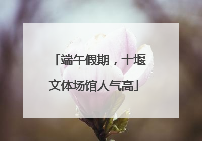 端午假期，十堰文体场馆人气高