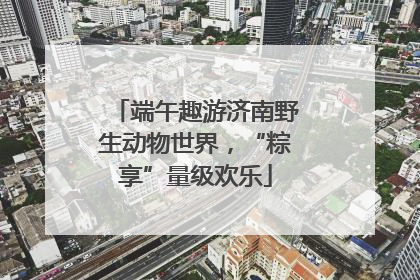 端午趣游济南野生动物世界，“粽享”量级欢乐