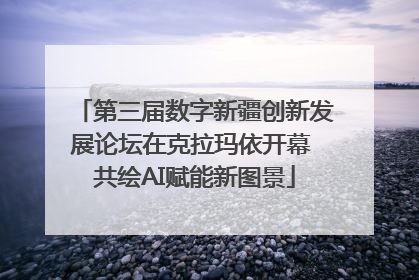 第三届数字新疆创新发展论坛在克拉玛依开幕 共绘AI赋能新图景