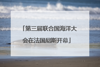 第三届联合国海洋大会在法国尼斯开幕